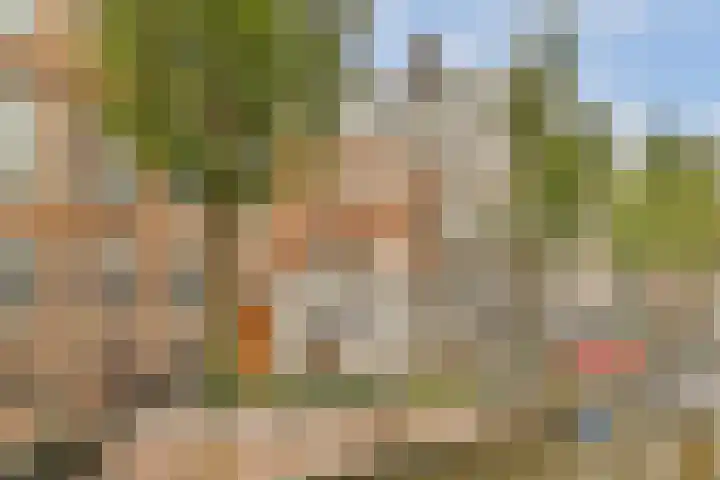 Kloveniersburgwal 75 D Amsterdam thumbnail 36
