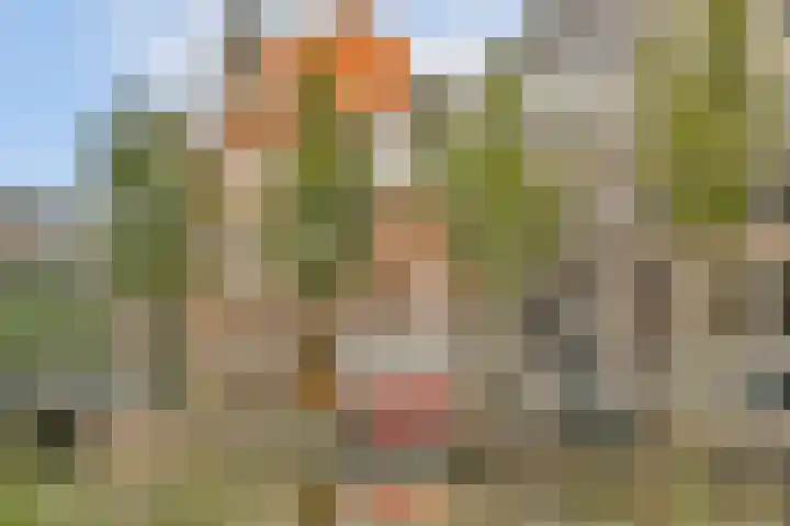 Kloveniersburgwal 75 D Amsterdam thumbnail 37