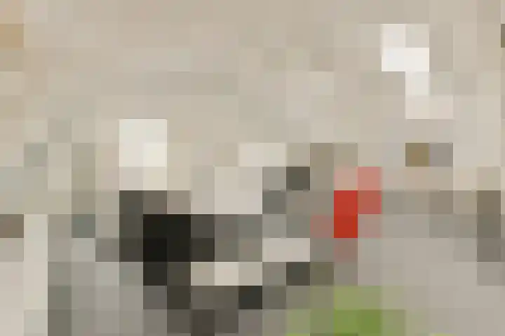 Kloveniersburgwal 75 D Amsterdam thumbnail 4