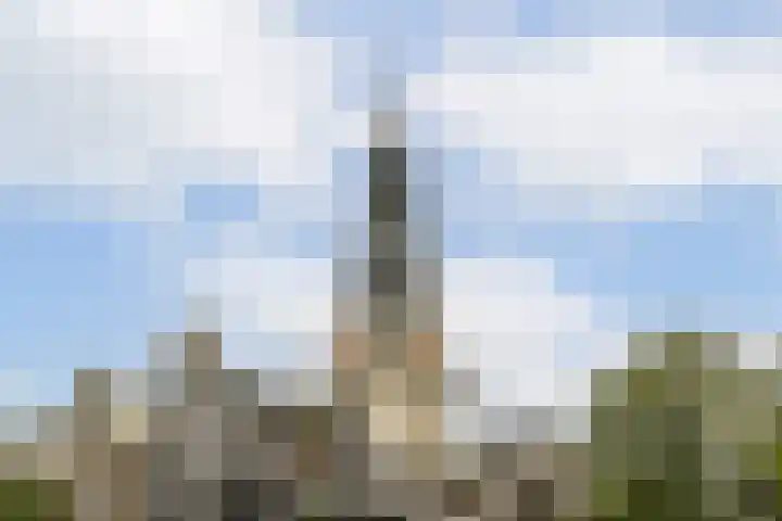 Kloveniersburgwal 75 D Amsterdam thumbnail 41