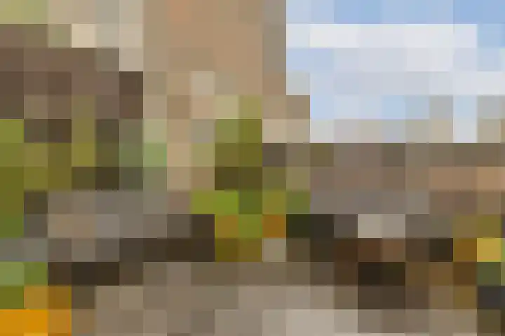 Kloveniersburgwal 75 D Amsterdam thumbnail 9