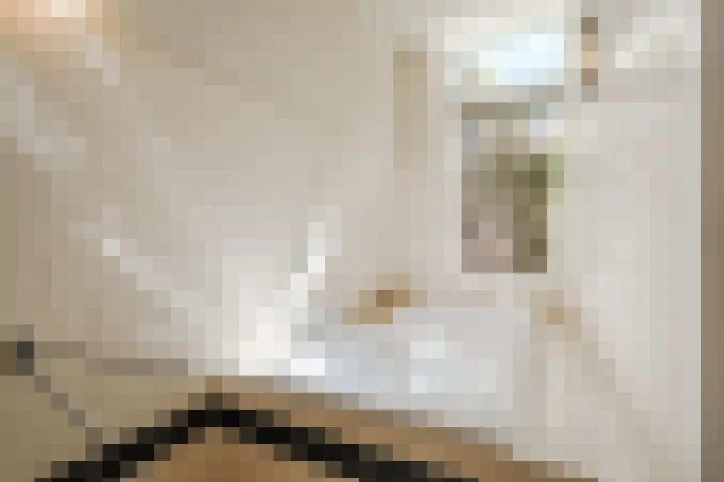 Kloveniersburgwal 83 D Amsterdam thumbnail 32