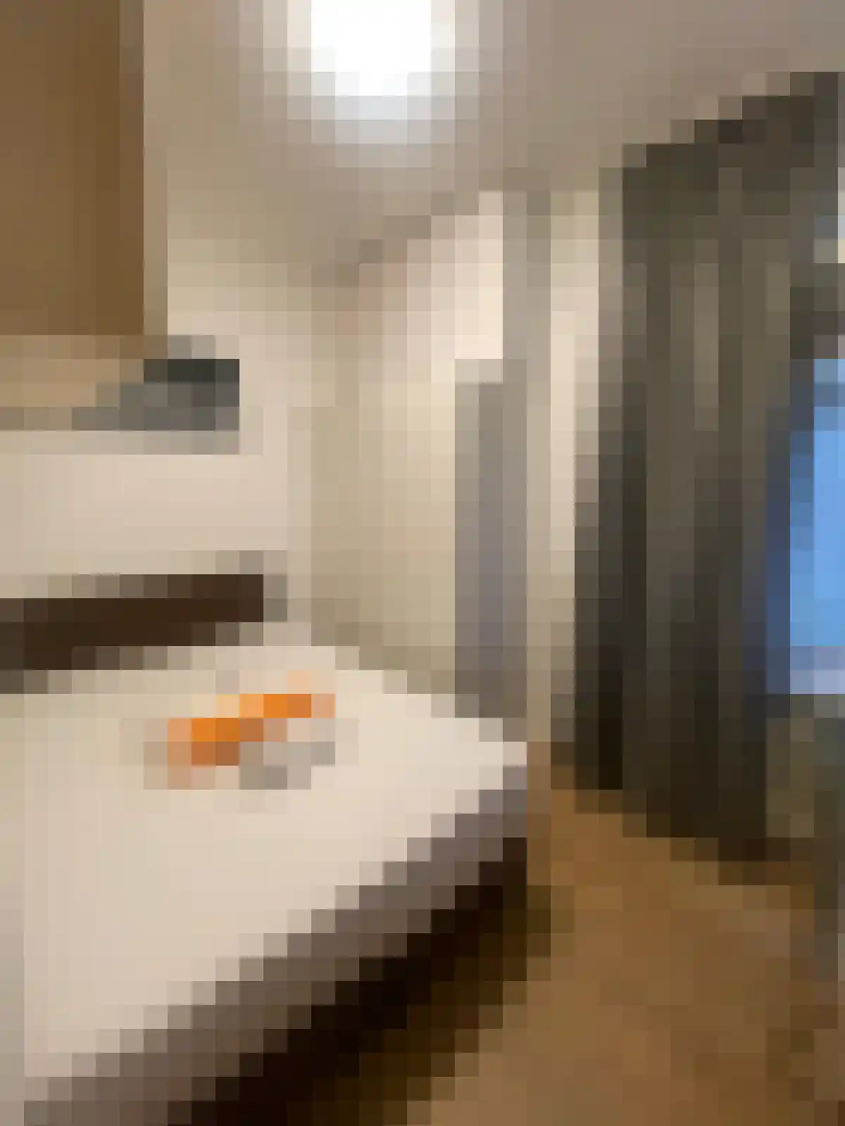 Kloveniersburgwal Amsterdam thumbnail 5