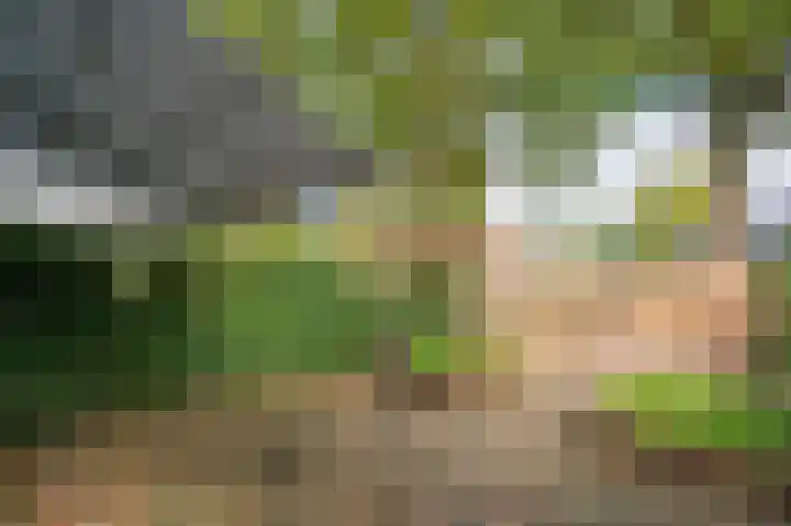 Kloversdonk 207 Apeldoorn thumbnail 22