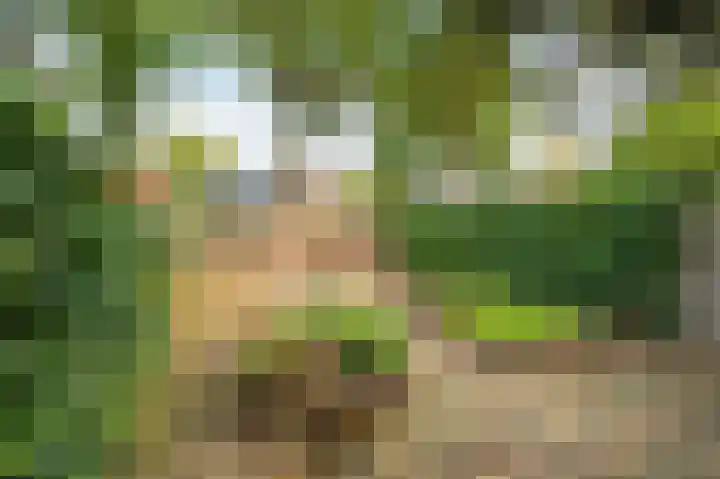 Kloversdonk 207 Apeldoorn thumbnail 23