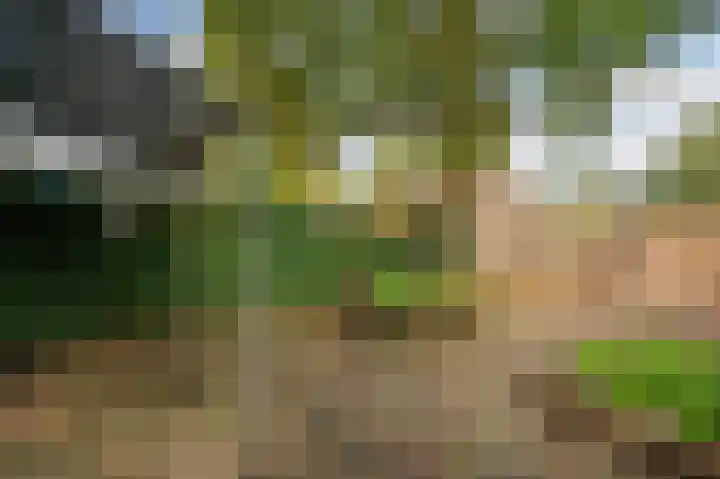 Kloversdonk 207 Apeldoorn thumbnail 24