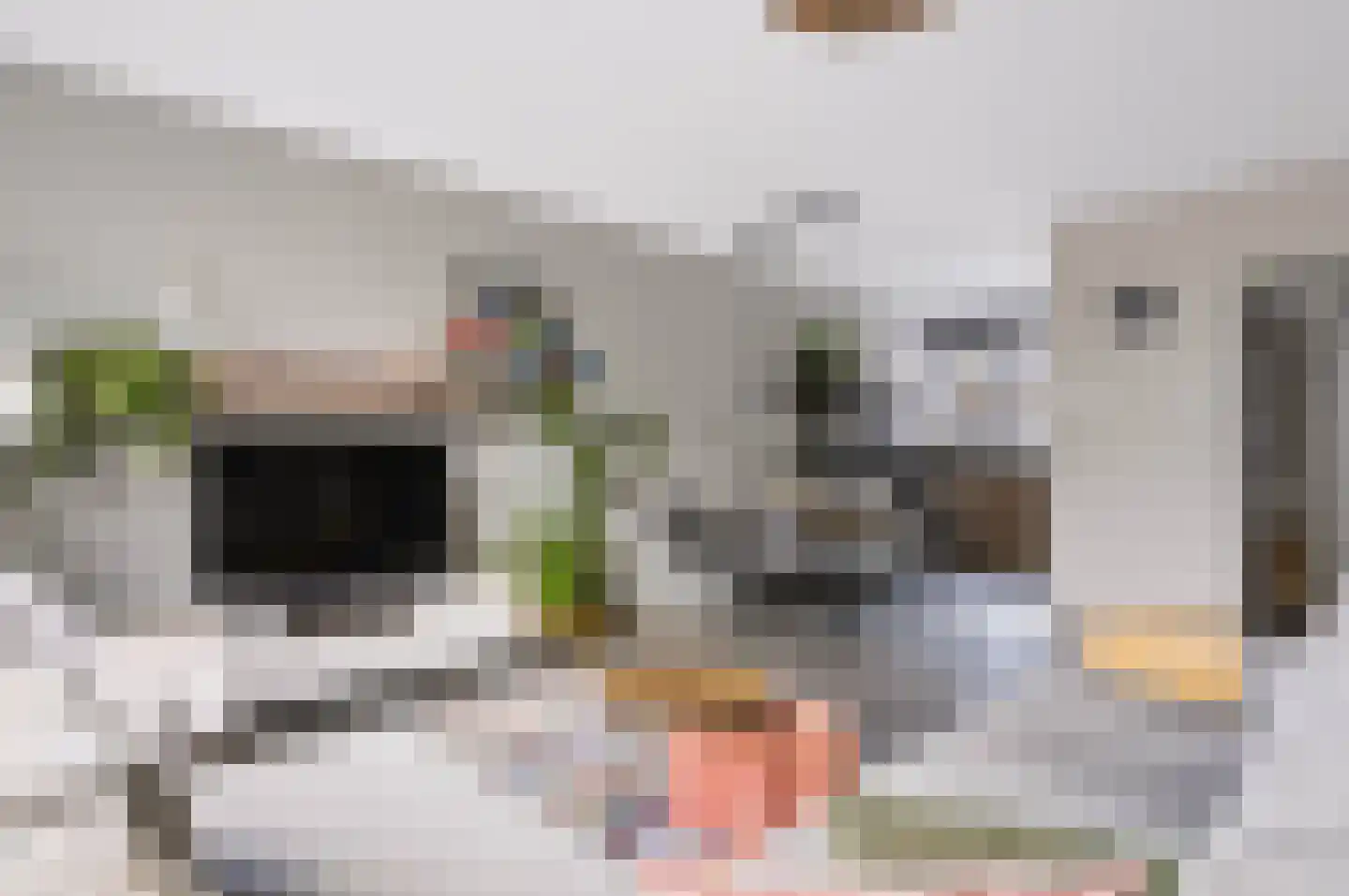 Kloversdonk 217 Apeldoorn thumbnail 11