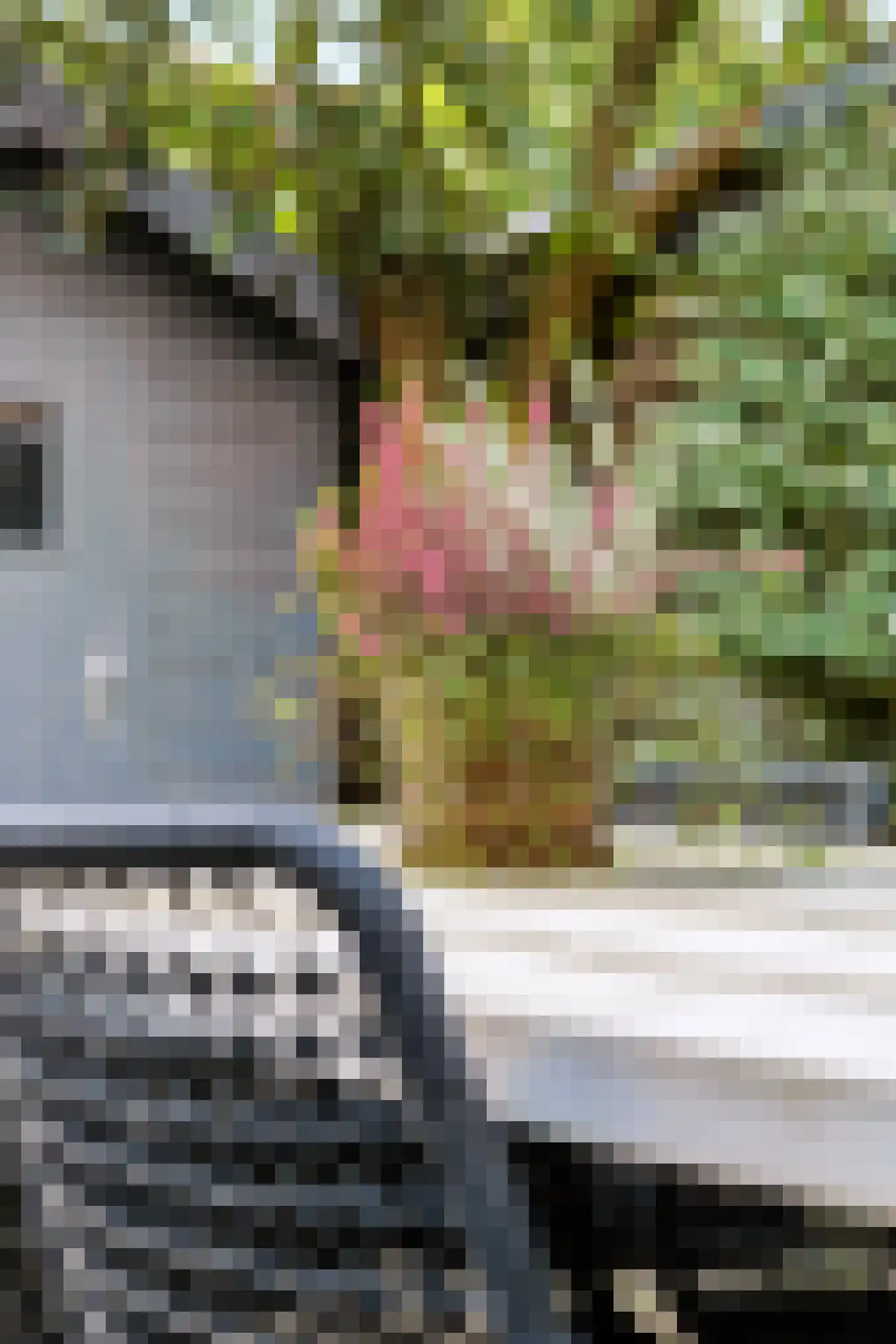 Kloversdonk 217 Apeldoorn thumbnail 34