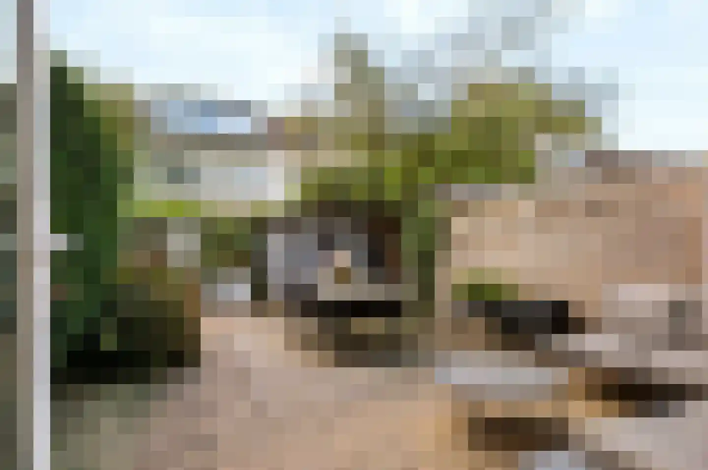 Kloversdonk 217 Apeldoorn thumbnail 4