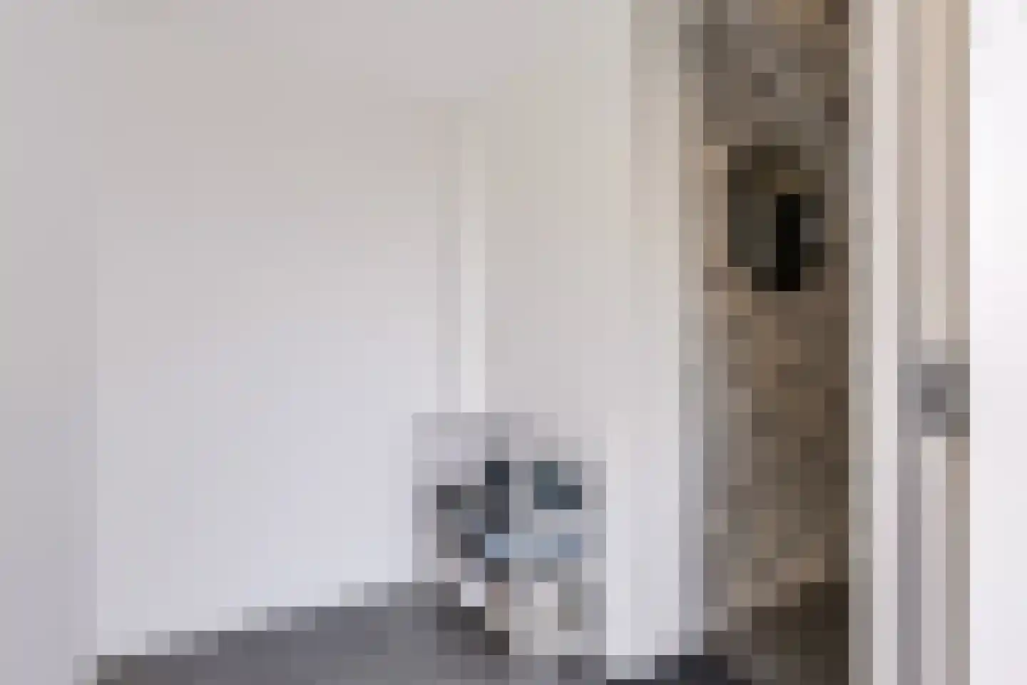 Kloversdonk 217 Apeldoorn thumbnail 8