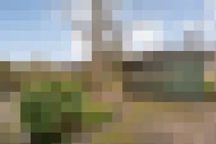 Kluft 105 Meppel thumbnail 30