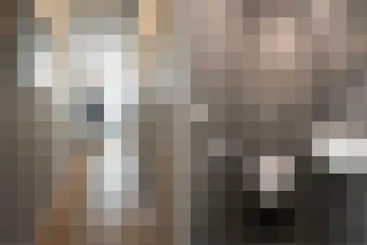 Kluft 111 Meppel thumbnail 17