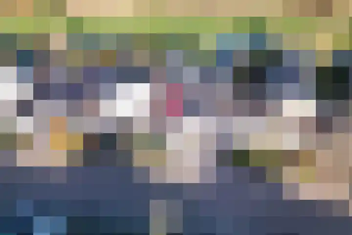 Kluft 111 Meppel thumbnail 34