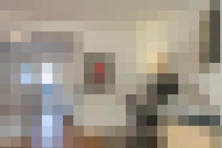 Kluft 111 Meppel thumbnail 9