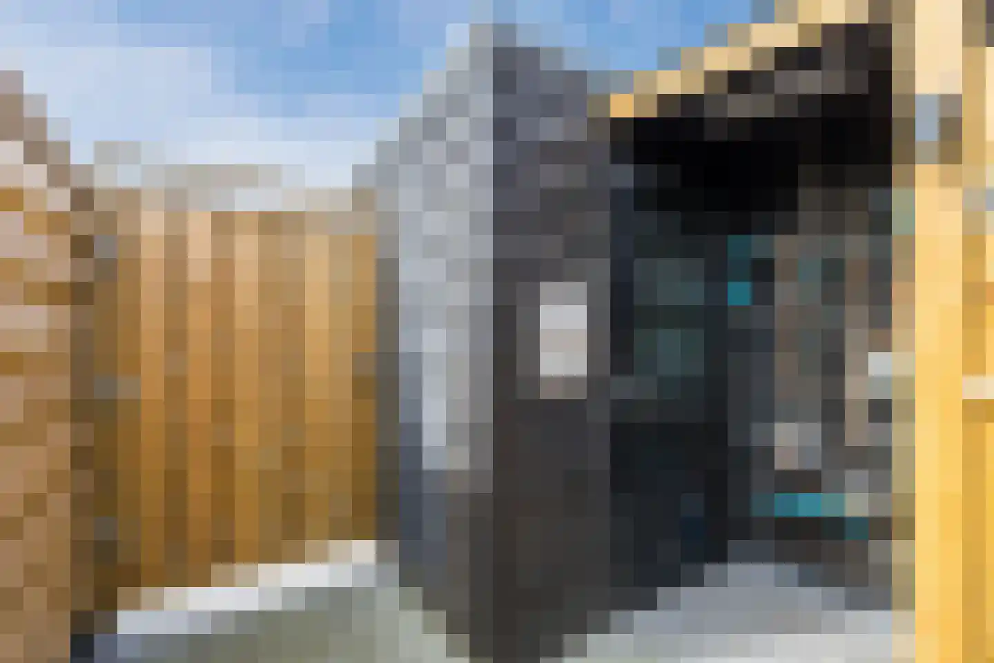 Kluft 36 Meppel thumbnail 37