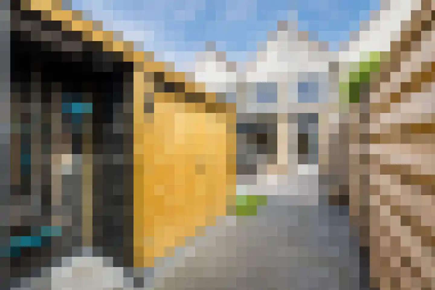 Kluft 36 Meppel thumbnail 38