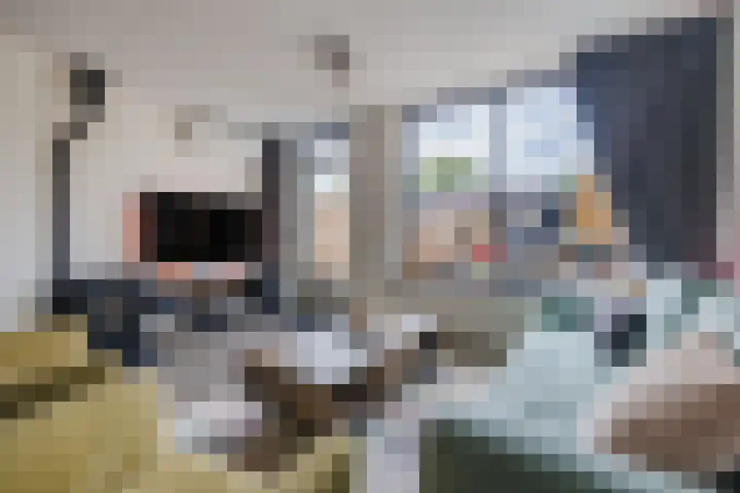 Kluft 36 Meppel thumbnail 5