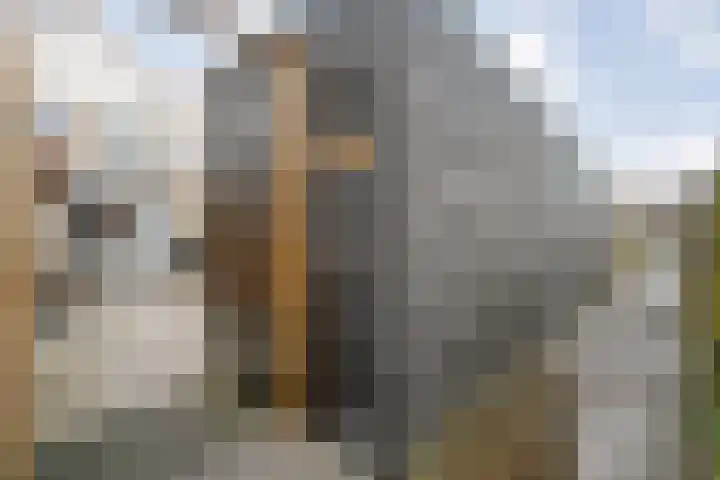Kluft 38 Meppel thumbnail 28