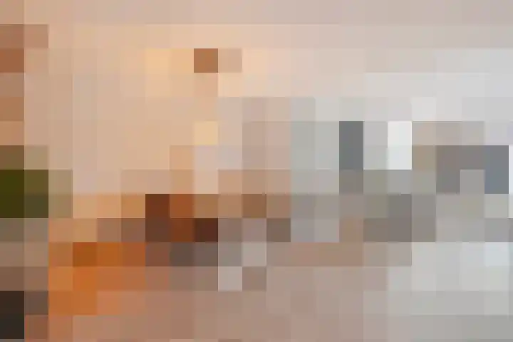 Kluft 38 Meppel thumbnail 6