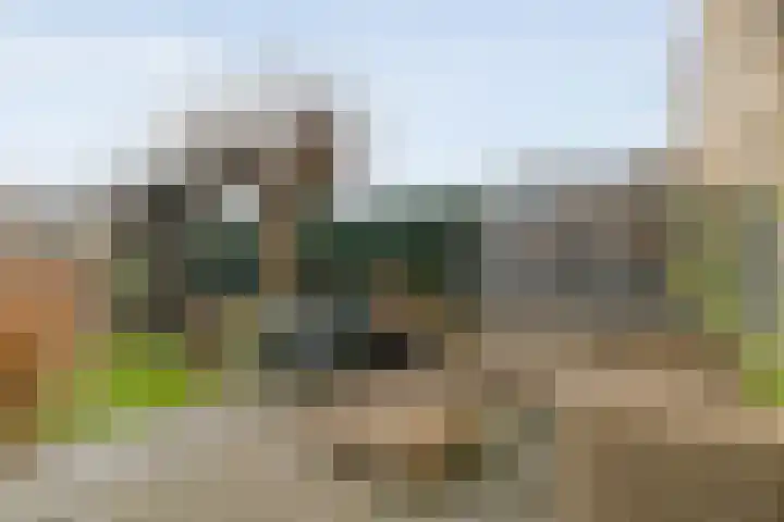 Kluft 42 Meppel thumbnail 34
