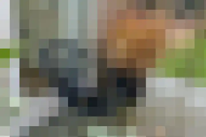 Kluft 42 Meppel thumbnail 36