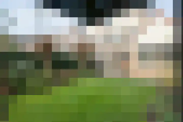 Kluft 42 Meppel thumbnail 37