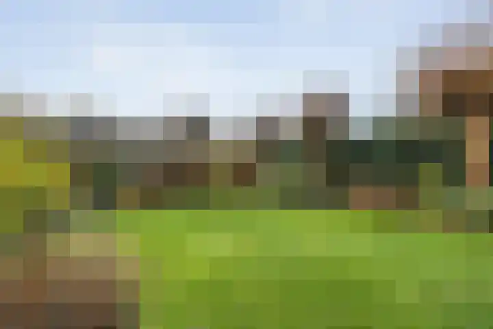 Kluft 42 Meppel thumbnail 39