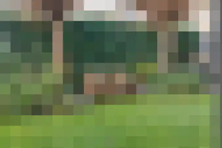Kluft 42 Meppel thumbnail 40