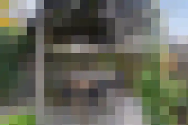 Kluft 42 Meppel thumbnail 41