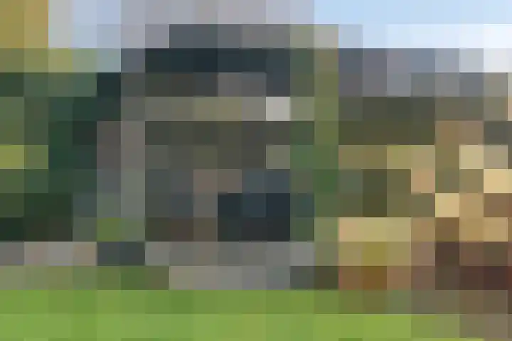 Kluft 42 Meppel thumbnail 42