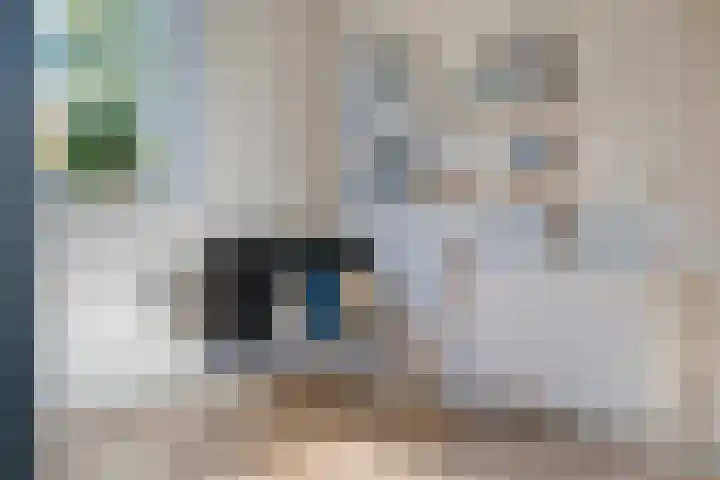 Kluft 42 Meppel thumbnail 7