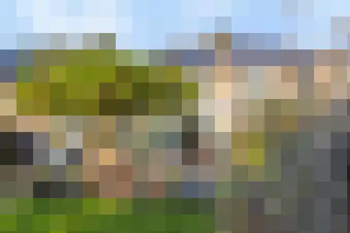 Kluft 56 Meppel thumbnail 22