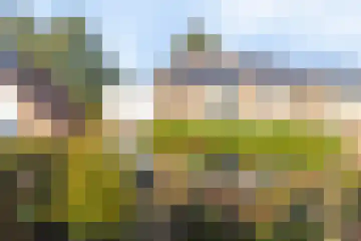 Kluft 56 Meppel thumbnail 24