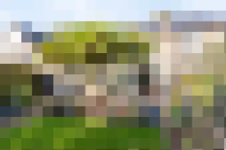 Kluft 56 Meppel thumbnail 5