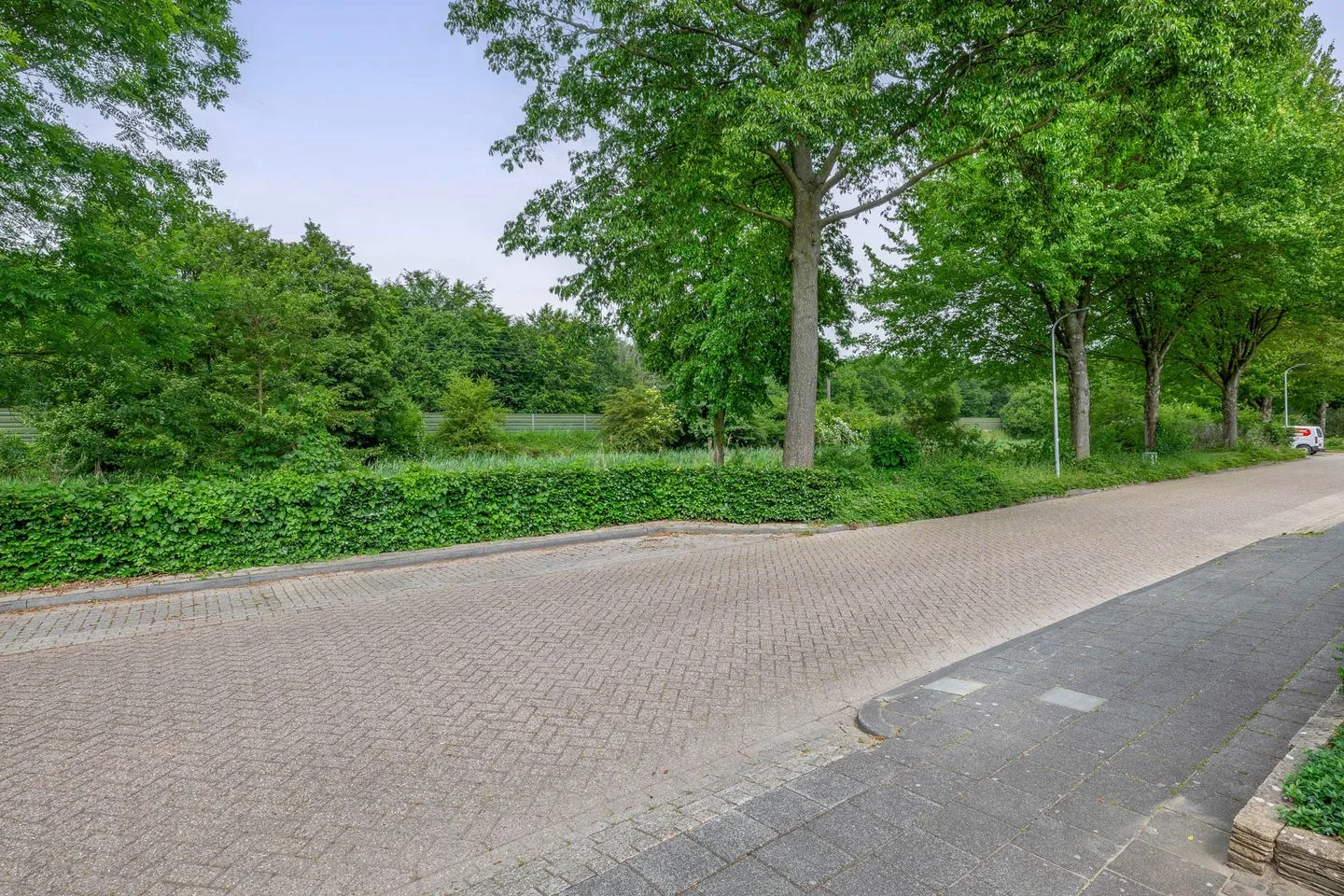 Kluft 56 Meppel thumbnail 57