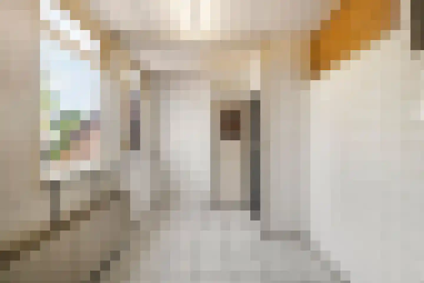 Klufterkrogt 26 Hippolytushoef thumbnail 13