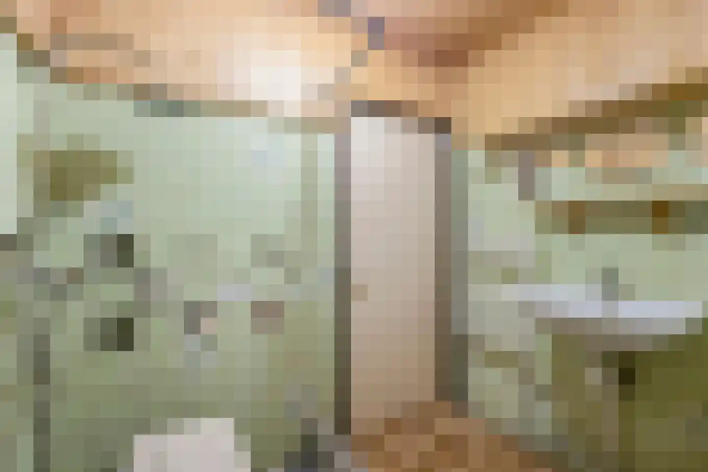 Klufterkrogt 26 Hippolytushoef thumbnail 20