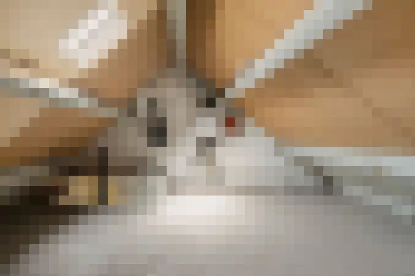 Klufterkrogt 26 Hippolytushoef thumbnail 22