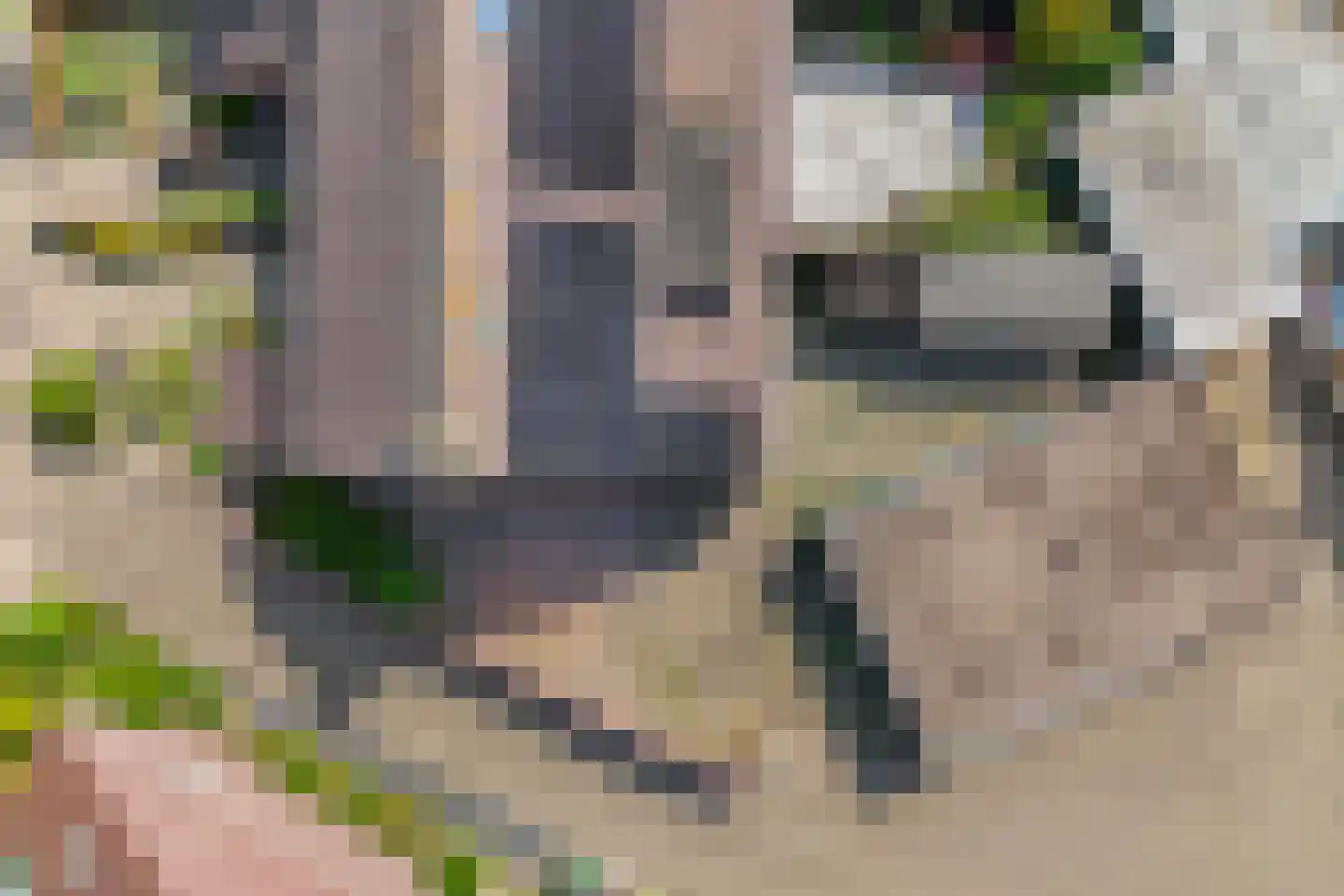 Klufterkrogt 26 Hippolytushoef thumbnail 28