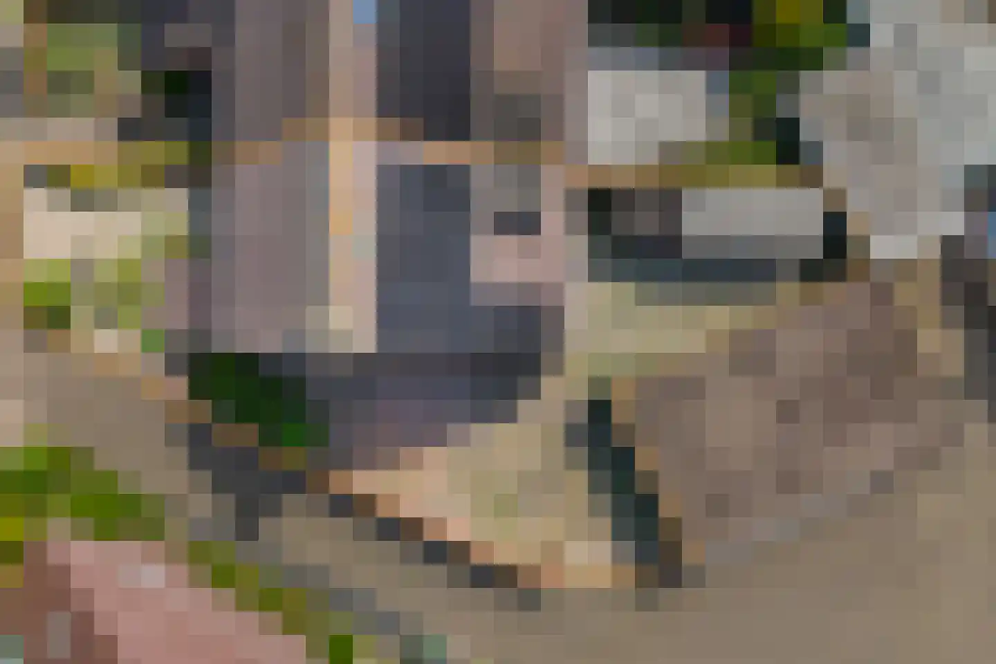 Klufterkrogt 26 Hippolytushoef thumbnail 28