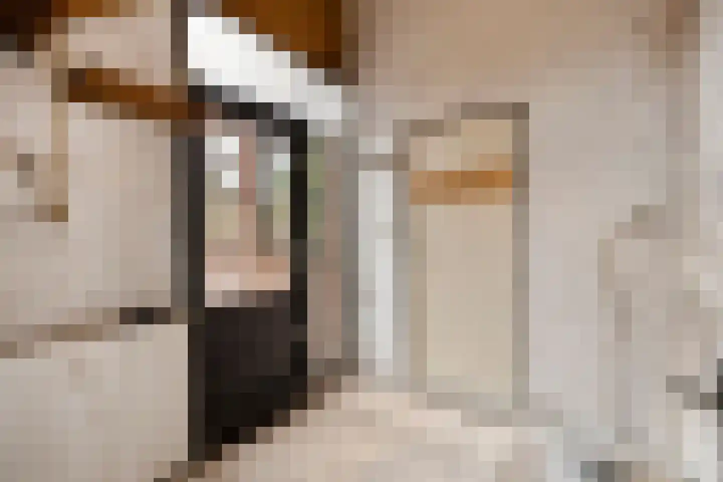 Klufterkrogt 26 Hippolytushoef thumbnail 7