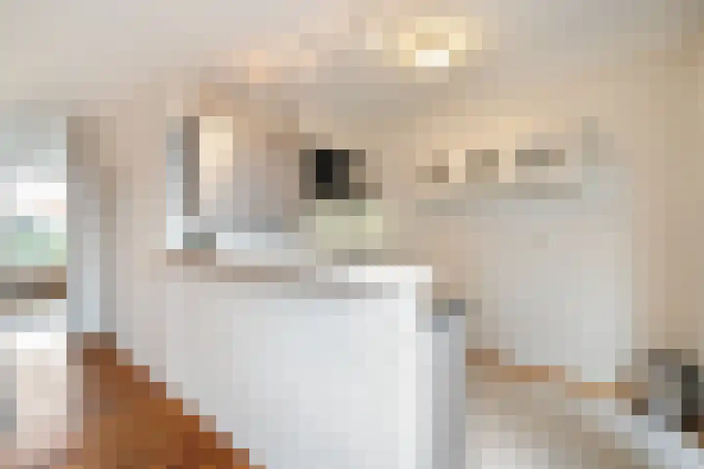 Klufterkrogt 6 Hippolytushoef thumbnail 15
