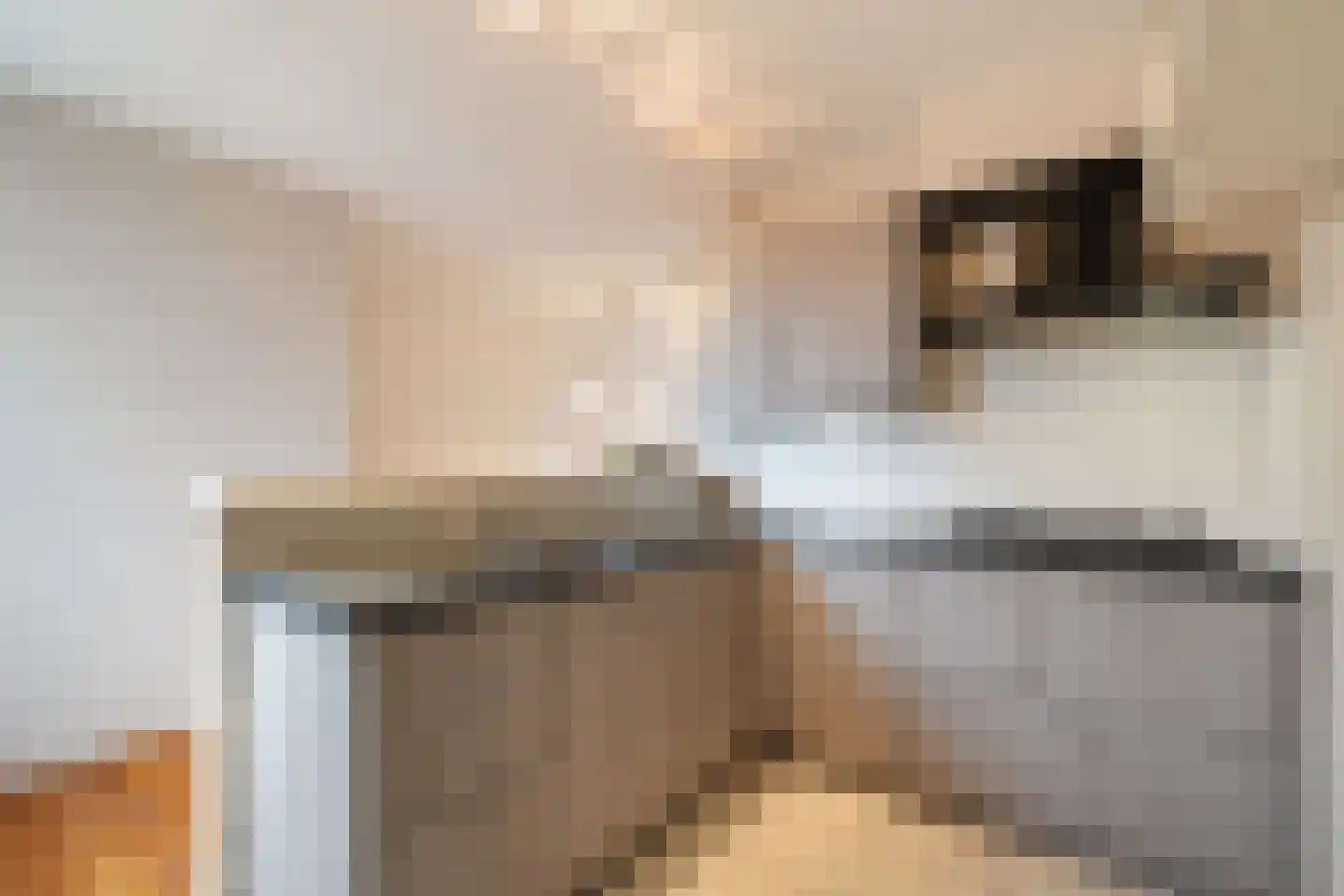 Klufterkrogt 6 Hippolytushoef thumbnail 16