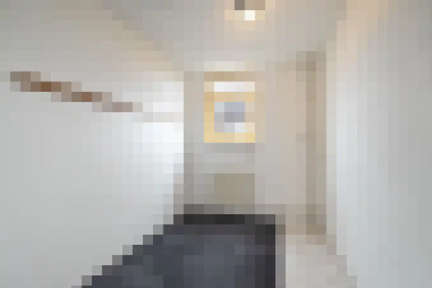 Klufterkrogt 6 Hippolytushoef thumbnail 24