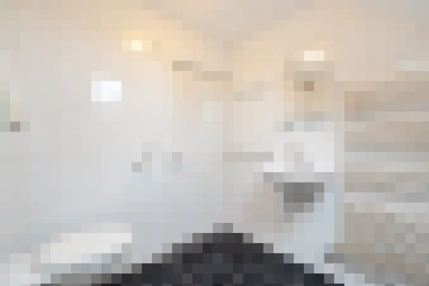 Klufterkrogt 6 Hippolytushoef thumbnail 29
