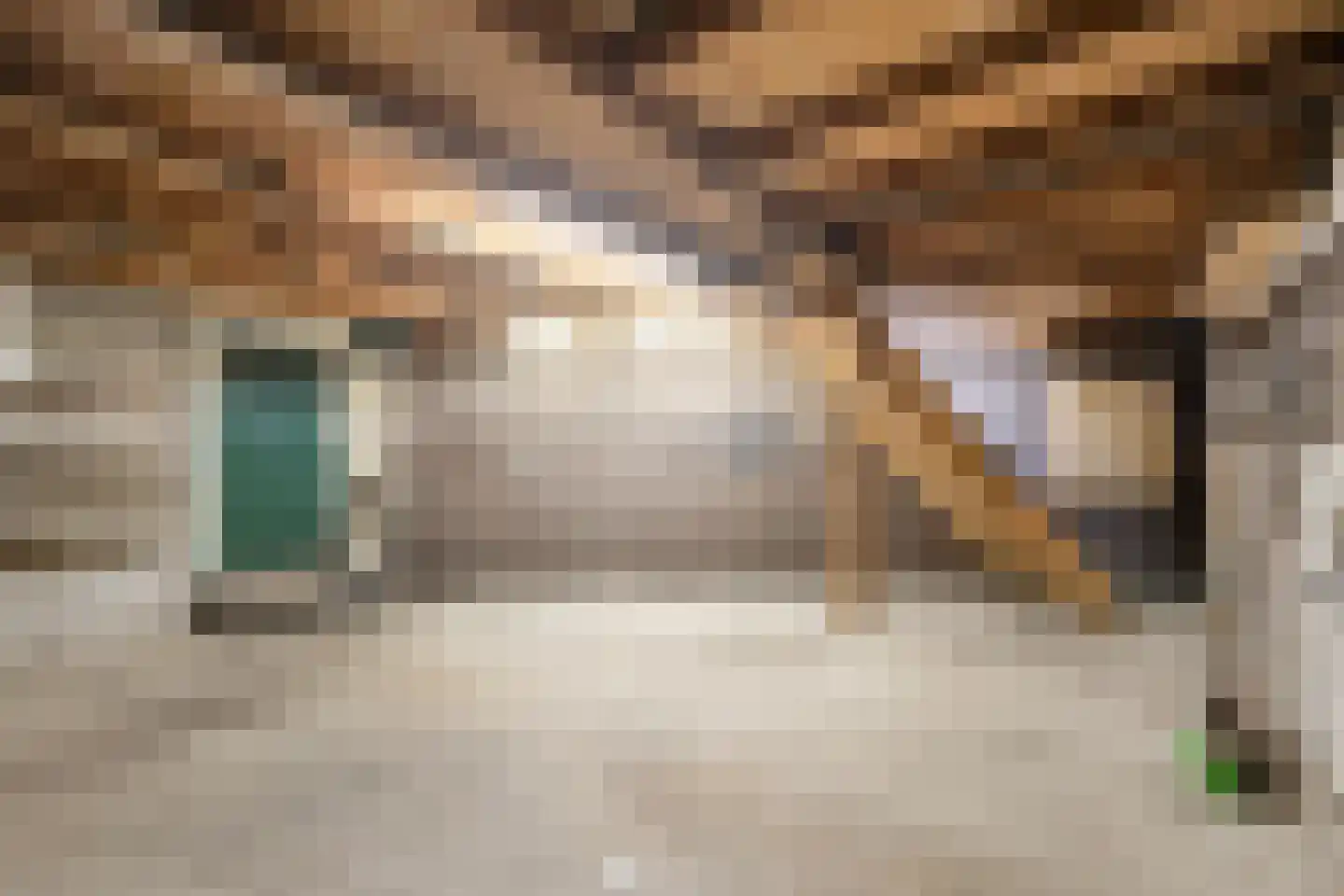 Klufterkrogt 6 Hippolytushoef thumbnail 39