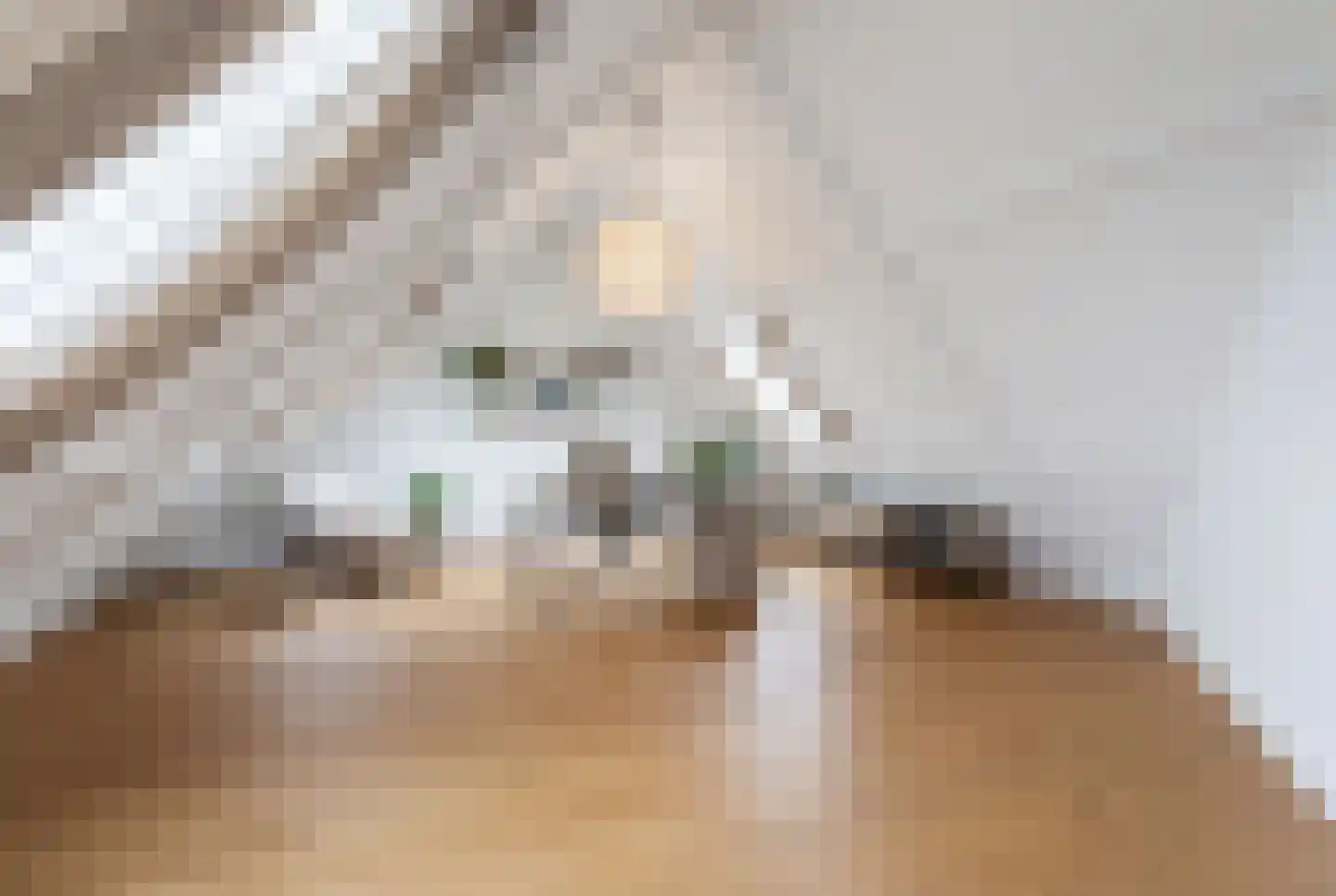 Klufterkrogt 6 Hippolytushoef thumbnail 40