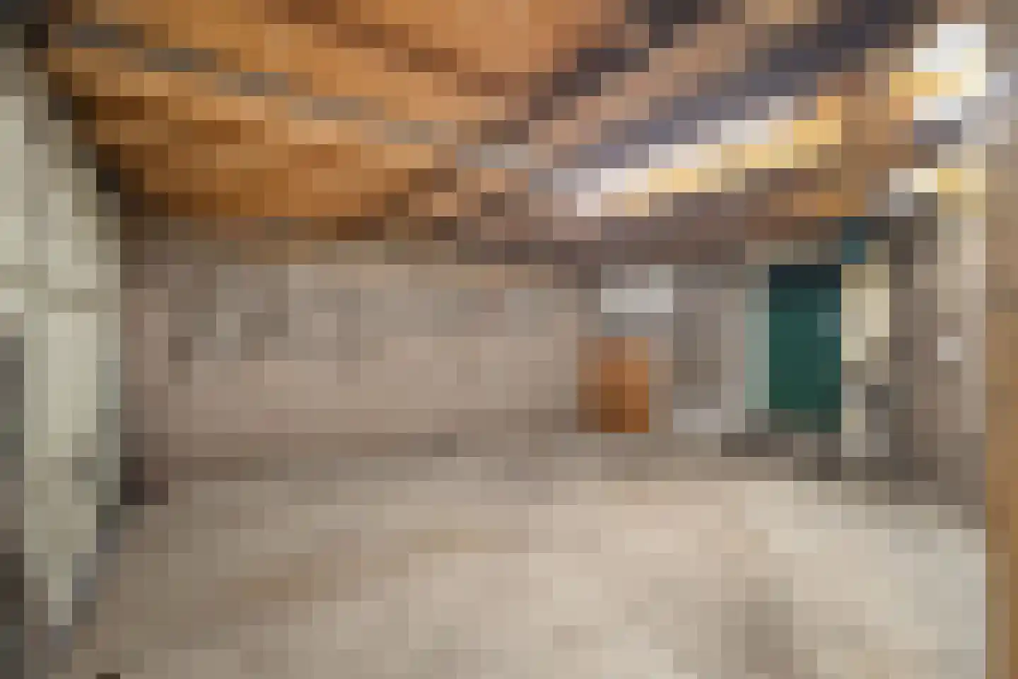 Klufterkrogt 6 Hippolytushoef thumbnail 43
