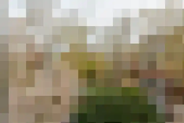 Kluijskenslaan 31 Santpoort-Zuid thumbnail 32