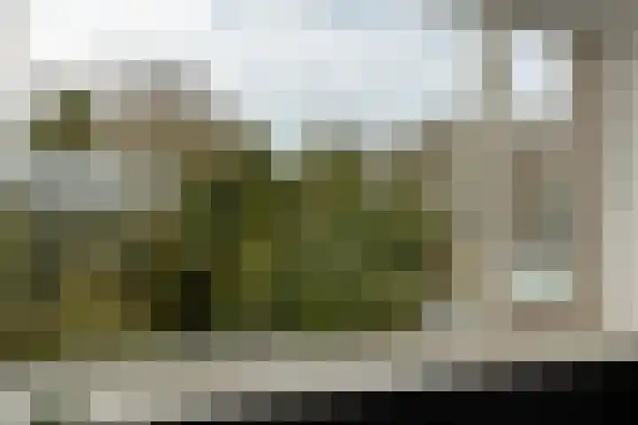 Kluijskenslaan 31 Santpoort-Zuid thumbnail 39